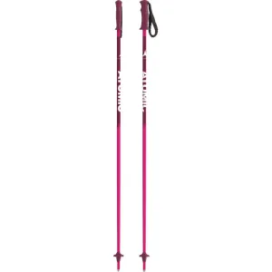 Amt Jr Ski Poles - Kids