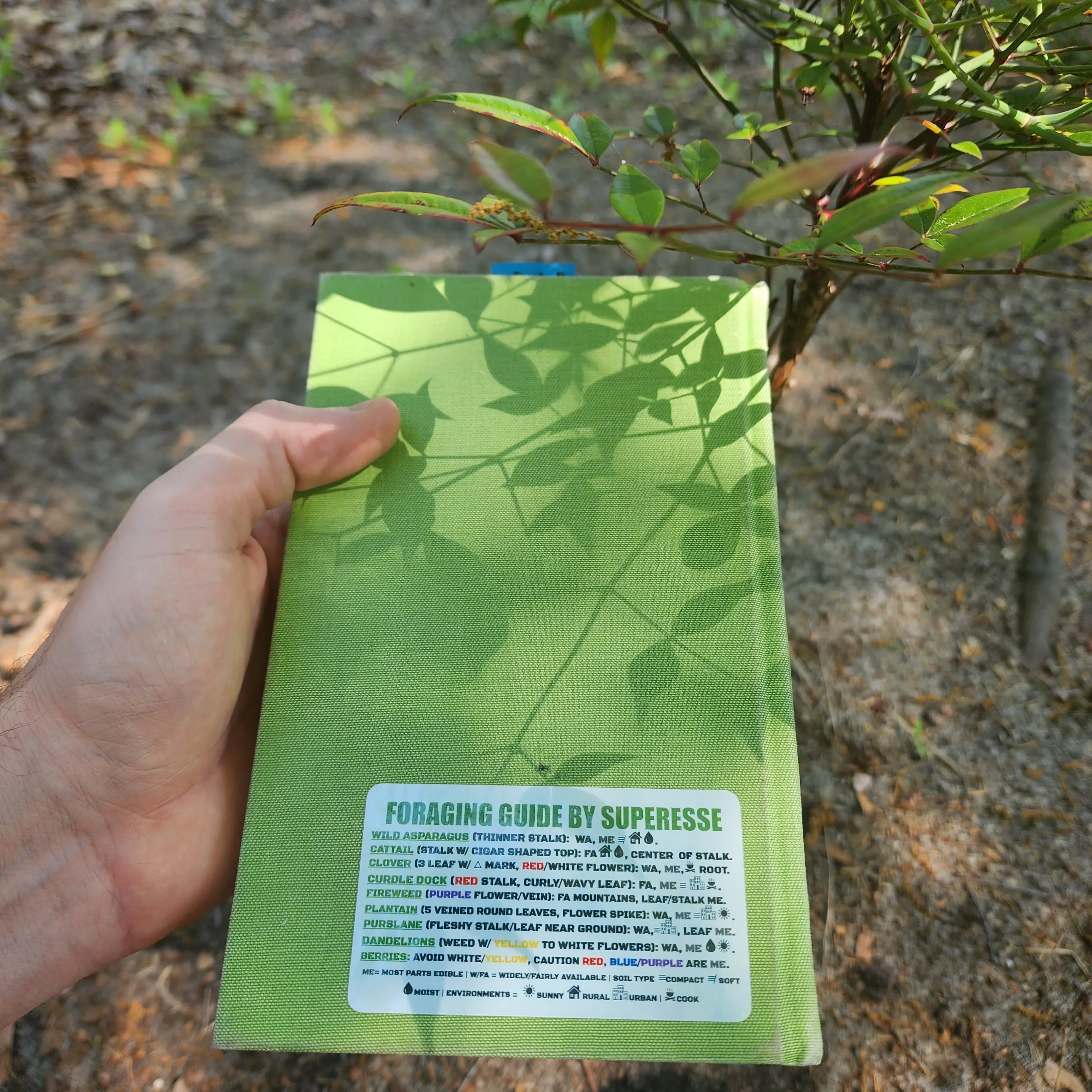 Foraging Guide Decal - Plants and Edibles Quick Identification Reference