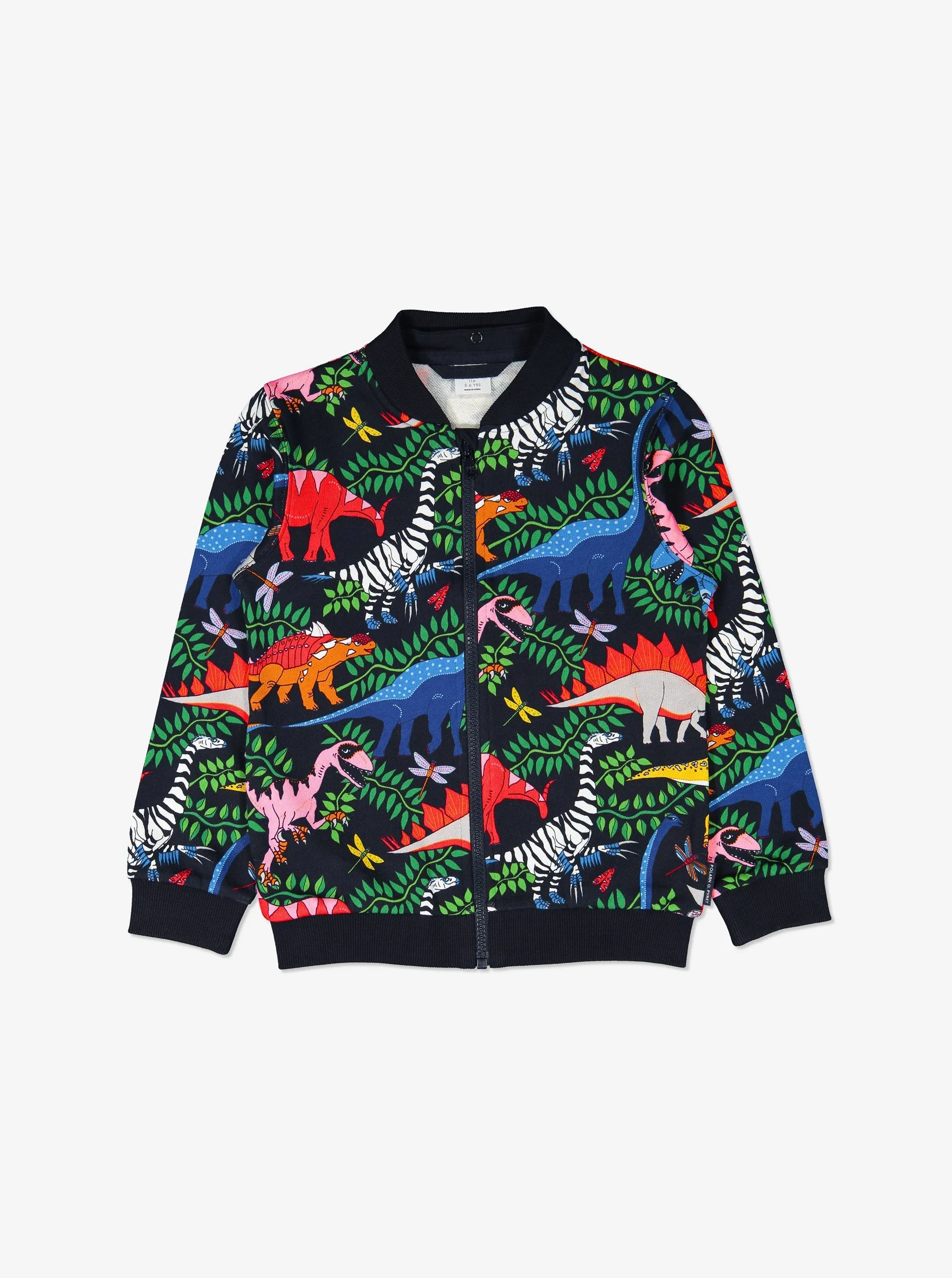 Kids Dinosaur  Hoodie