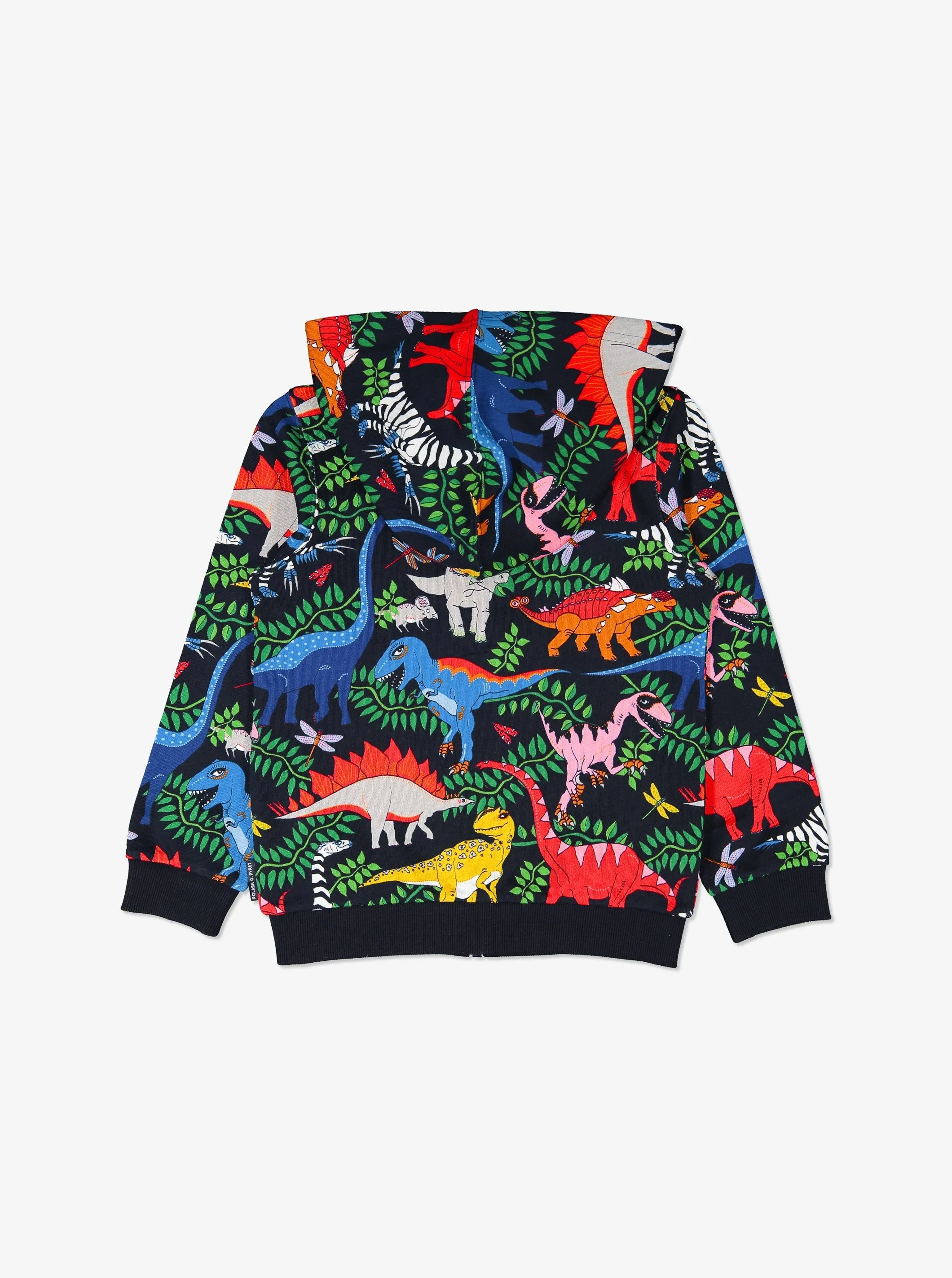 Kids Dinosaur  Hoodie