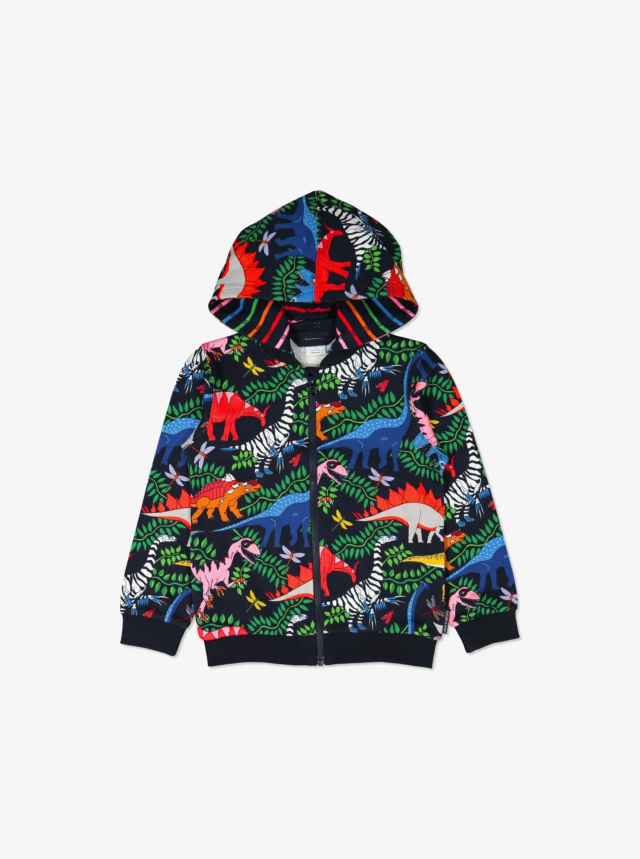 Kids Dinosaur  Hoodie